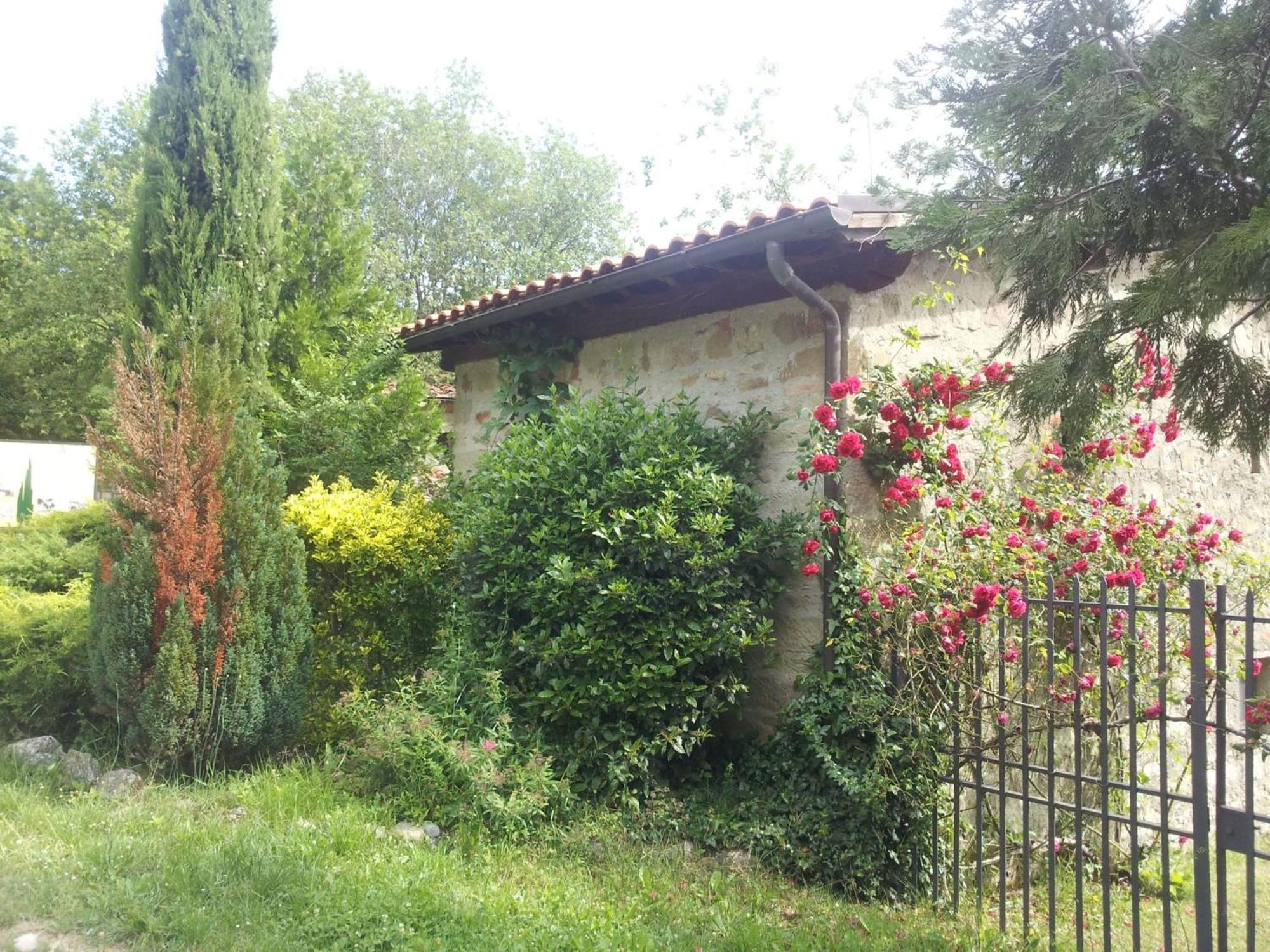 Fattoria Il Praticino - Metato Vila Castelfranco di Sopra Exterior foto
